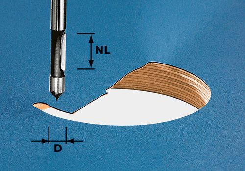 FESTOOL Bohrfräser HW S8 D8/19