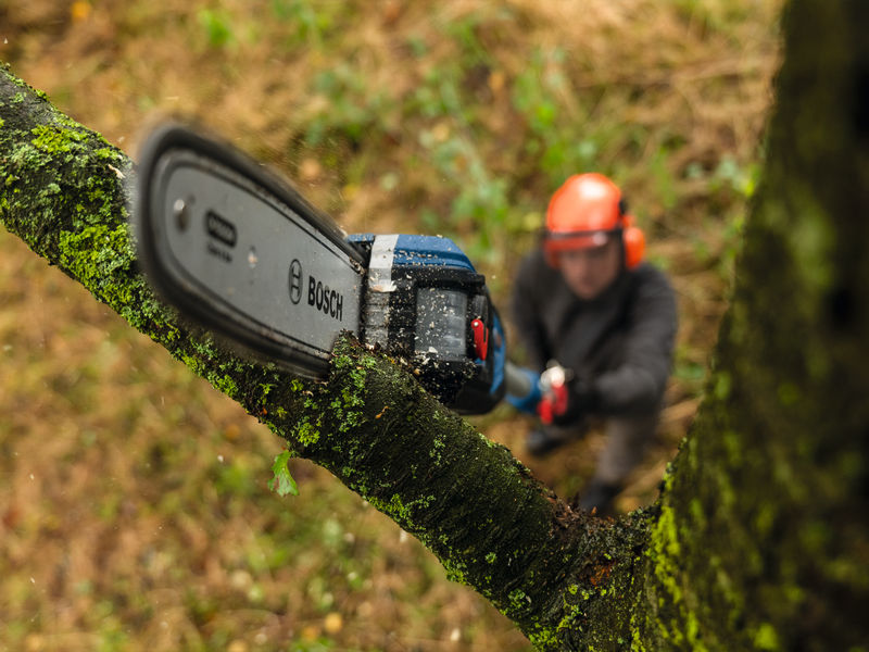 BOSCH Sägekette 25 cm 1,1 mm Professional BOSCH Sägekette 25 cm 1,1 mm Professional